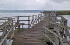 Fewo Im alten Fachwerkhaus - Foto 25