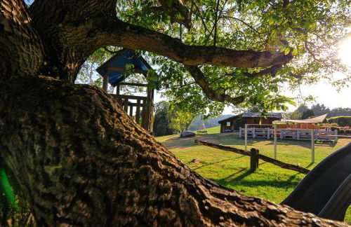 Dienbergerhof 5 Sterne Ferienwohnungen - Foto 16