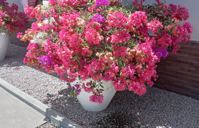 Residence Argine Apartments - Photo 27