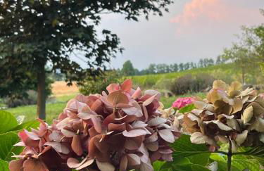 Corte Monticello - Foto 50