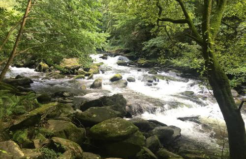 The Old Smithy - Foto 38