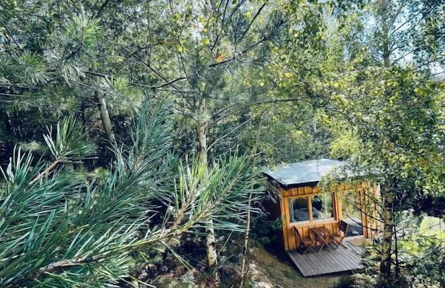 Boutique Glamping Divja DiVine - Foto 2