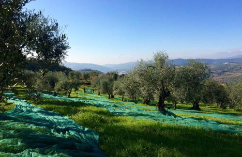 La Fornella dell'Anita - Foto 23