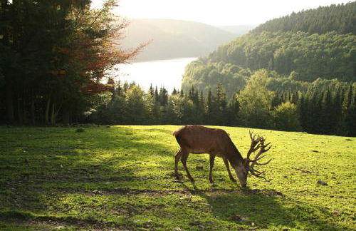 Ferienhaus Hescheld With Private Jacuzzi - Foto 58