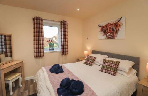 Red Squirrel - Foto 15