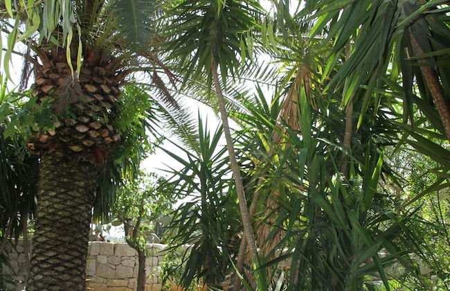 Villetta Immersa nel Verde Torre Guaceto - Foto 25