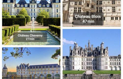 Gite proche de Beauval Zoo et des Chateaux - Foto 15