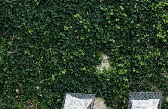 Domaine de la barbeirasse - Foto 52