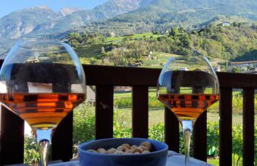 La Vigne de Papagran - Foto 2