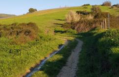 AL - HaoleGuestHouse - Photo 9