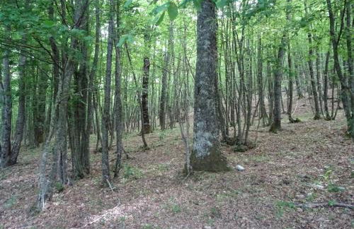 la bottega del fabbro affitto breve - Foto 38