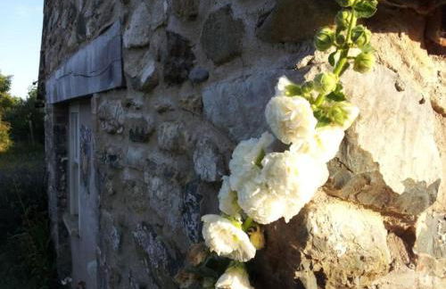 The Cwtsh at Ffynnon Clun: unique. - Photo 19