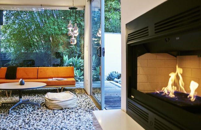 Cactus Flower - Foto 18