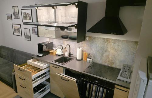 81 degrees - Hot Lodging - Gorąca Kwatera w centrum Gliwic z prywatną sauną - Foto 12