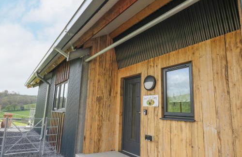 Barcud Coch - Red Kite - Photo 41