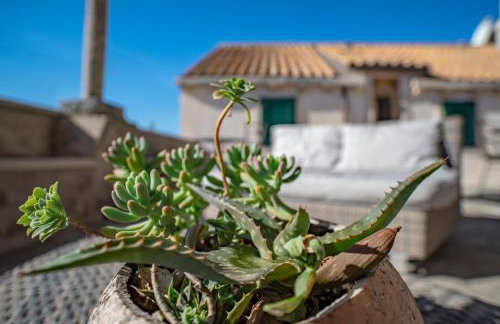 Villa Ragusa Vecchia - Photo 64