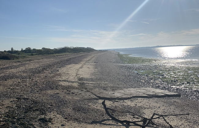 Poker Dot Getaway 2 - Stay-play-getaway - Foto 16