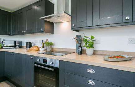 Cleifiog Fawr - Foto 12