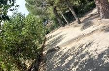 Chez Alexandra - Foto 29