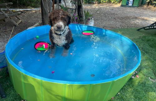 Casa Rural las Tres Rosas - Foto 24