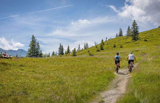 Chalet in Zillertal Near Ski Slopes - Foto 31