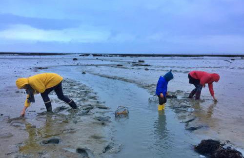 Saint-Malo Apartment - Foto 30