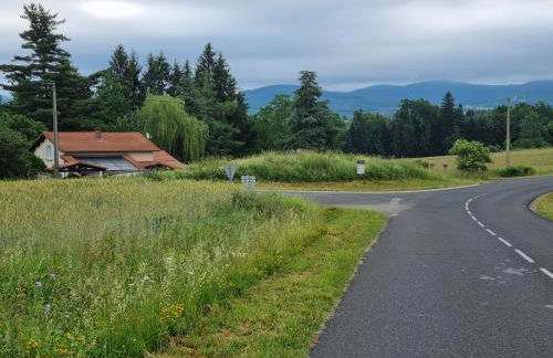 L'Eclat de menthe - Foto 10