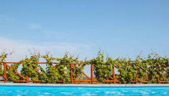 Calàmi - Villa Romeo - Private Apartments with Pool, Seaview & Olive Grove - Photo 4