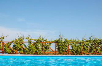 Calàmi - Villa Romeo - Private Apartments with Pool, Seaview & Olive Grove - Foto 4