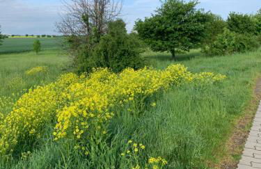 Kleines Ferienappartement in Erfurt-Schmira - Foto 20