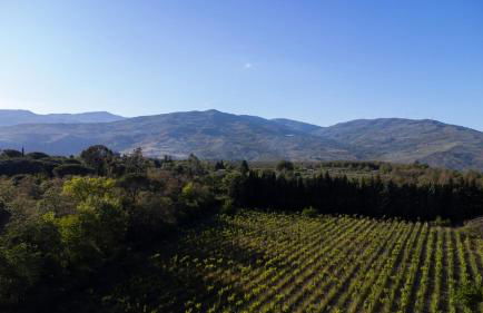 Parco Statella - Foto 11