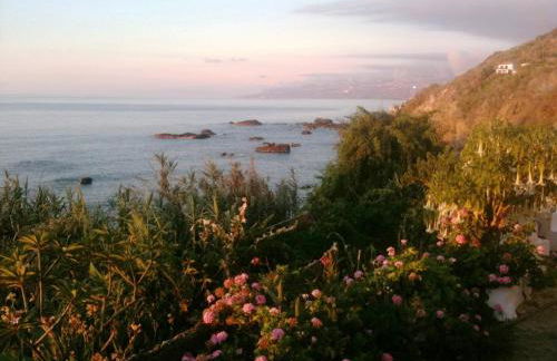 Alenes del Mar - Foto 26