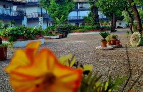 Andalusian Courtyard - Foto 60