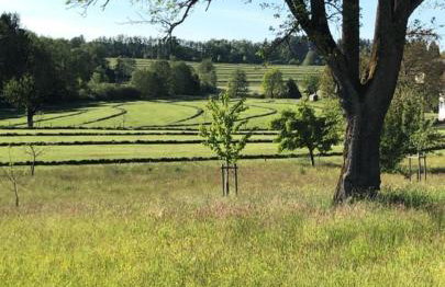 Ferienwohnung "Hinterland" - Foto 17