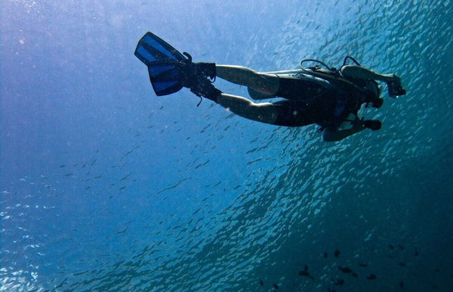 South Point Villas - Photo 44