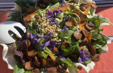 Maison atypique en pleine nature face au Luberon - Foto 51