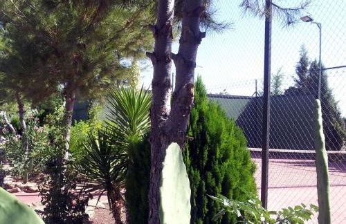 Casa rural con piscina y pista de padel - Casa de Pacas - Foto 15