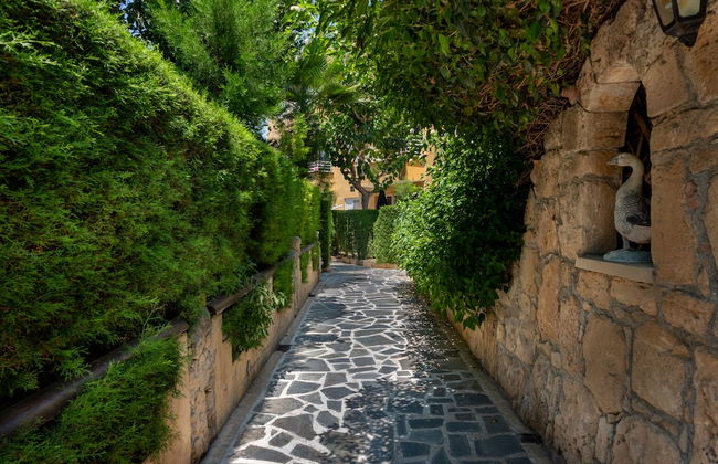 Apollonia Holiday Apartments - Foto 22