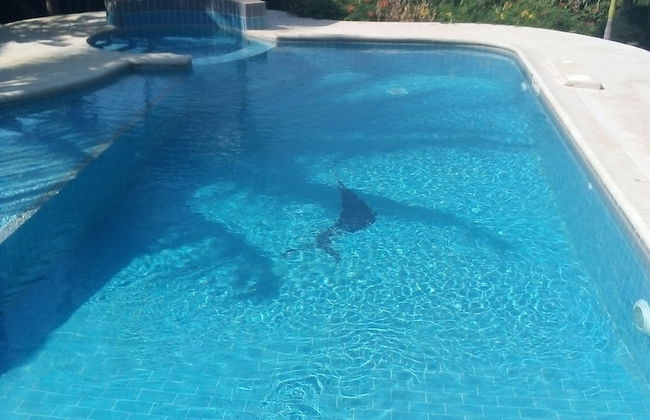 Au Parc Des Princes - Photo 10