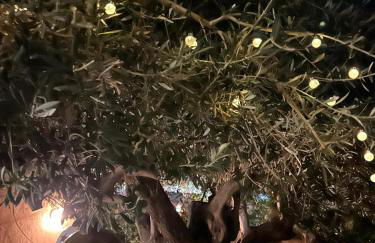 Relais dei Mori Home Palermo - Foto 77