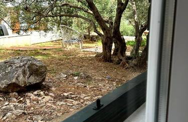 Apartmani Sladić - Photo 75