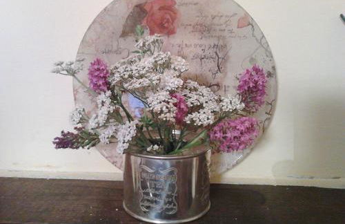 Alloggio Villa Manini - Foto 17