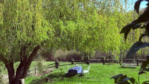 Ancien pressoir rénové avec grand jardin et vue sur la nature - Foto 2, Garden