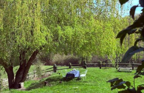 Ancien pressoir rénové avec grand jardin et vue sur la nature - Foto 2