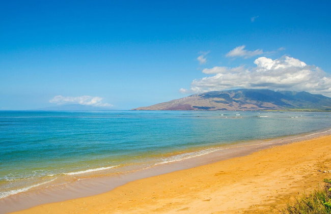 Beautiful 1 Bedroom Condo with Ocean Views | Oceanfront - Foto 111