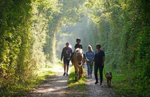 503 Landidyll - Foto 48