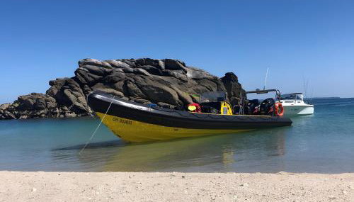 Gîte Le Dauphin - 400m de la mer - Foto 4