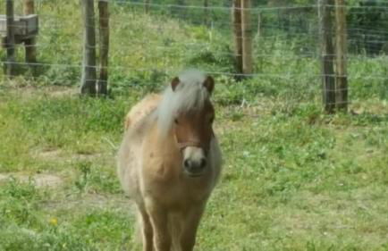 Agriturismo Mama Lina - Foto 85