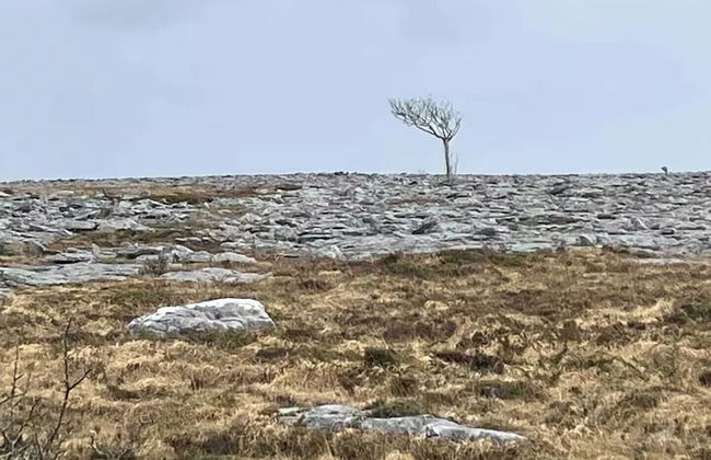 Kinvara Hideaway - 4 Guests - Near Galway - Foto 10