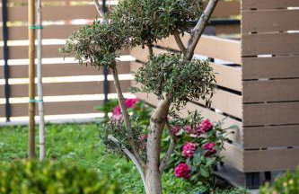 Nerium Apartments Leptokaria - Foto 14